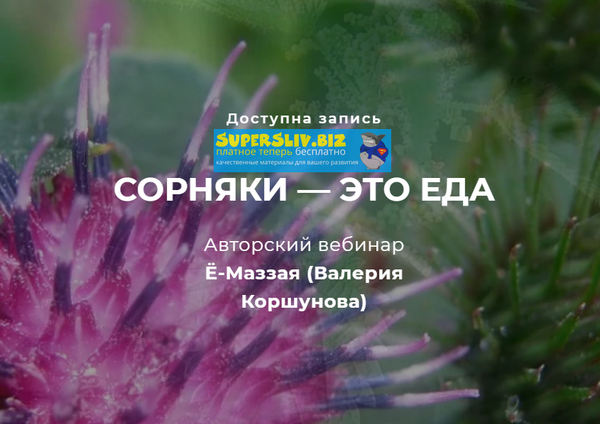 [Валерий Коршунов] Сорняки — это еда! (2019)_0.png